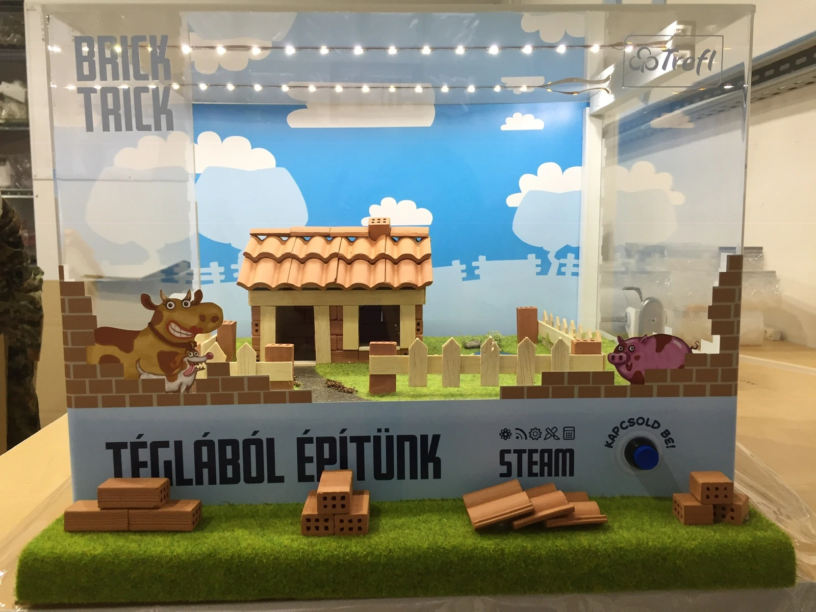 Trefl — display advertising nowe zabawki. Showcase bonded with graphics and from acrylic, illuminated, wraz from zagoodsowaniem zabawk