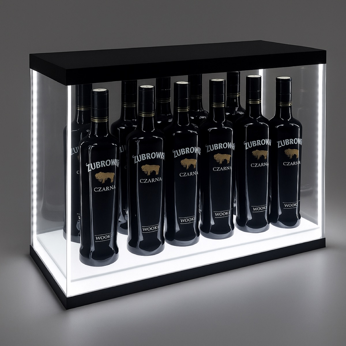 Illuminated information panel