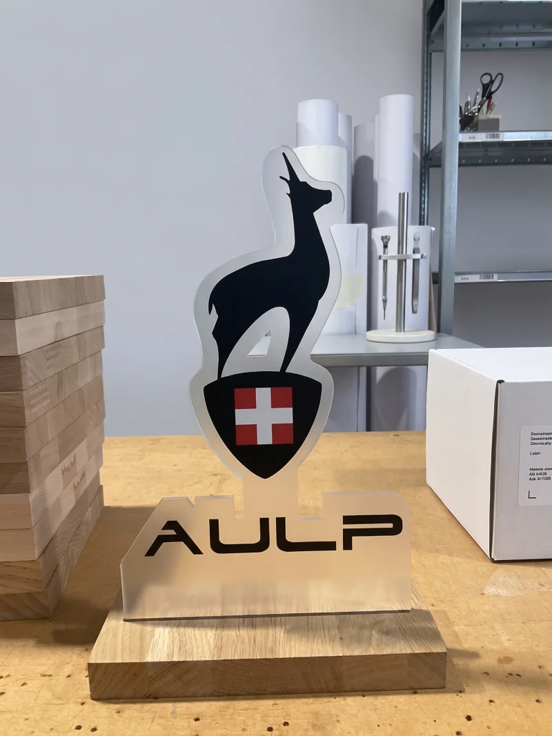 Statuetka custom from acrylic and from wood with graphics UV — trofeum for klubu sportsgo